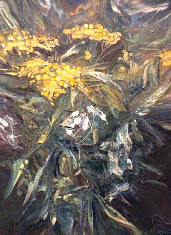 Tansy by Alexander Vlasyuk - search and link Fine Art with ARTdefs.com