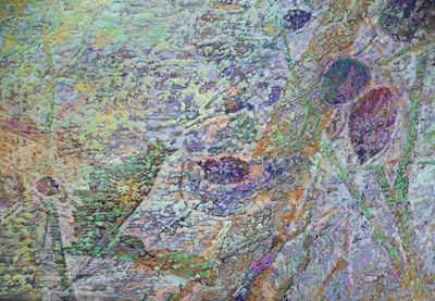The morning bird by Alexander Vlasyuk - search and link Fine Art with ARTdefs.com