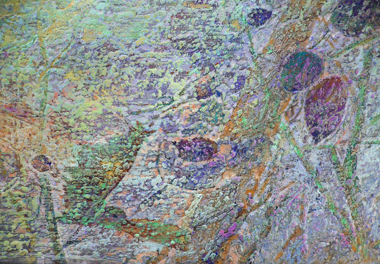 The morning bird by Alexander Vlasyuk - search and link Fine Art with ARTdefs.com