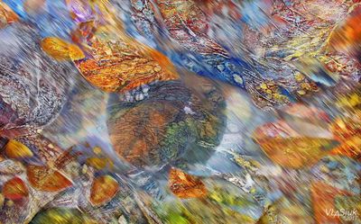 Autumn Watch-1 by Alexander Vlasyuk - search and link Fine Art with ARTdefs.com