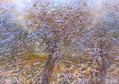 Autumn garden by Alexander Vlasyuk - search and link Fine Art with ARTdefs.com