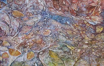 Leaves of Autumn-2 by Alexander Vlasyuk - search and link Fine Art with ARTdefs.com