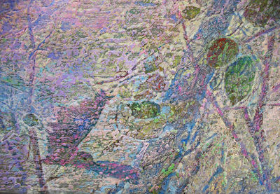 Morning flight by Alexander Vlasyuk - search and link Fine Art with ARTdefs.com