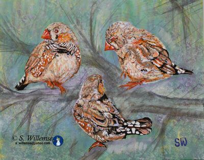 Finches by Susan Willemse - search and link Fine Art with ARTdefs.com