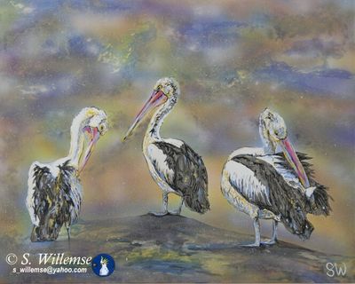 Pelicans by Susan Willemse - search and link Fine Art with ARTdefs.com