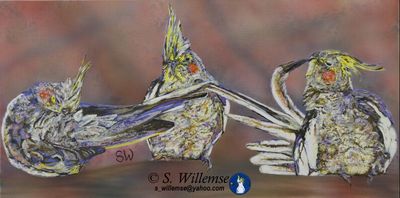 Cockatiels by Susan Willemse - search and link Fine Art with ARTdefs.com