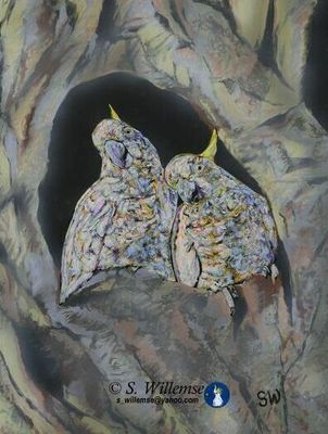 Bindubi babies by Susan Willemse - search and link Fine Art with ARTdefs.com