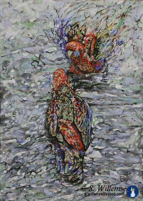 Bathing Rosellas by Susan Willemse - search and link Fine Art with ARTdefs.com