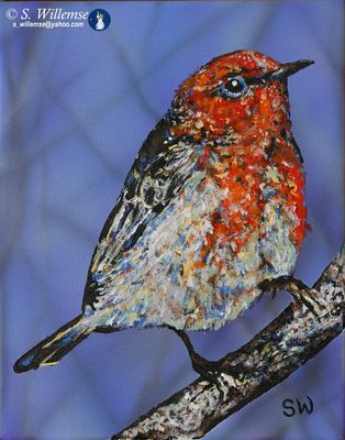 Scarlet honeyeater by Susan Willemse - search and link Fine Art with ARTdefs.com