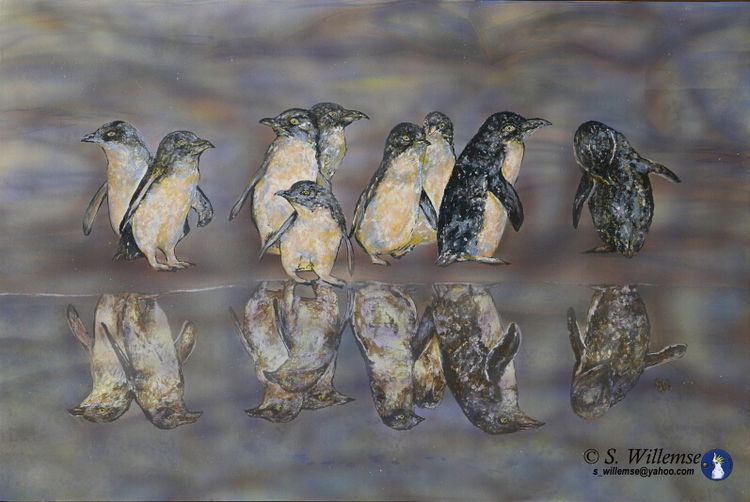 Penguin reflections by Susan Willemse - search and link Fine Art with ARTdefs.com