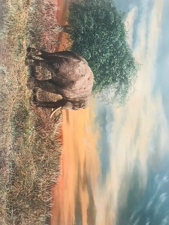 Ù†Ù‚Ø§Ø´ÛŒ by Shahin Darbandi - search and link Fine Art with ARTdefs.com