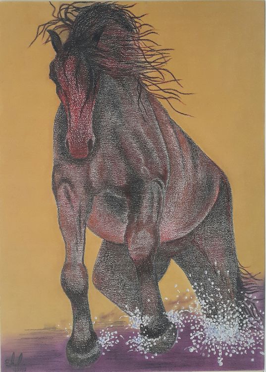 Ù†Ù‚Ø§Ø´ÛŒ by Shahin Darbandi - search and link Fine Art with ARTdefs.com