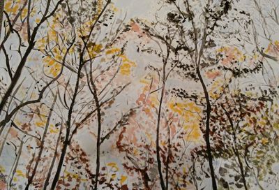 Sunlit Treetops by Susan Royer - search and link Fine Art with ARTdefs.com