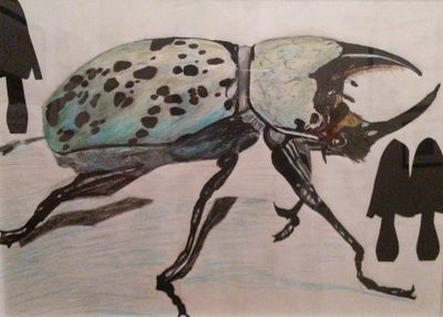 Hercules Beetle by Susan Royer - search and link Fine Art with ARTdefs.com