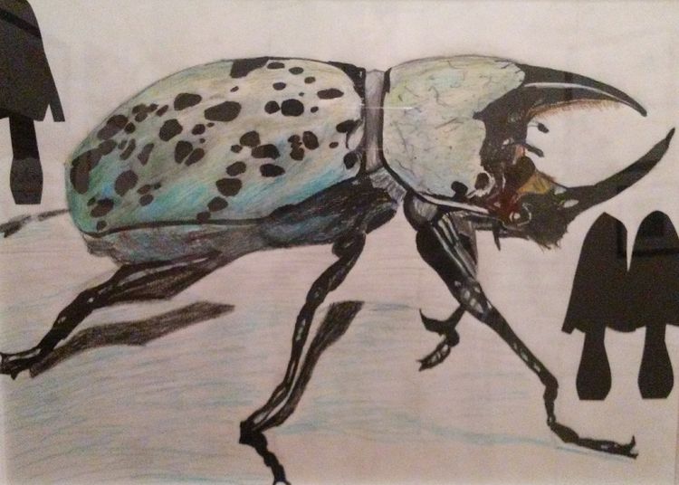 Hercules Beetle by Susan Royer - search and link Fine Art with ARTdefs.com