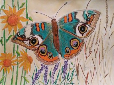 Buckeye View by Susan Royer - search and link Fine Art with ARTdefs.com