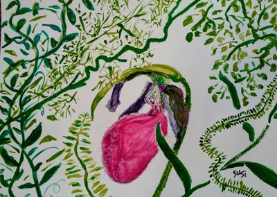 Wild Lady Slipper by Susan Royer - search and link Fine Art with ARTdefs.com