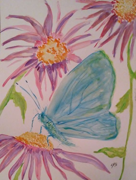 Blue Feeder by Susan Royer - search and link Fine Art with ARTdefs.com