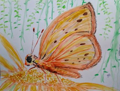 Skipper Sipper by Susan Royer - search and link Fine Art with ARTdefs.com